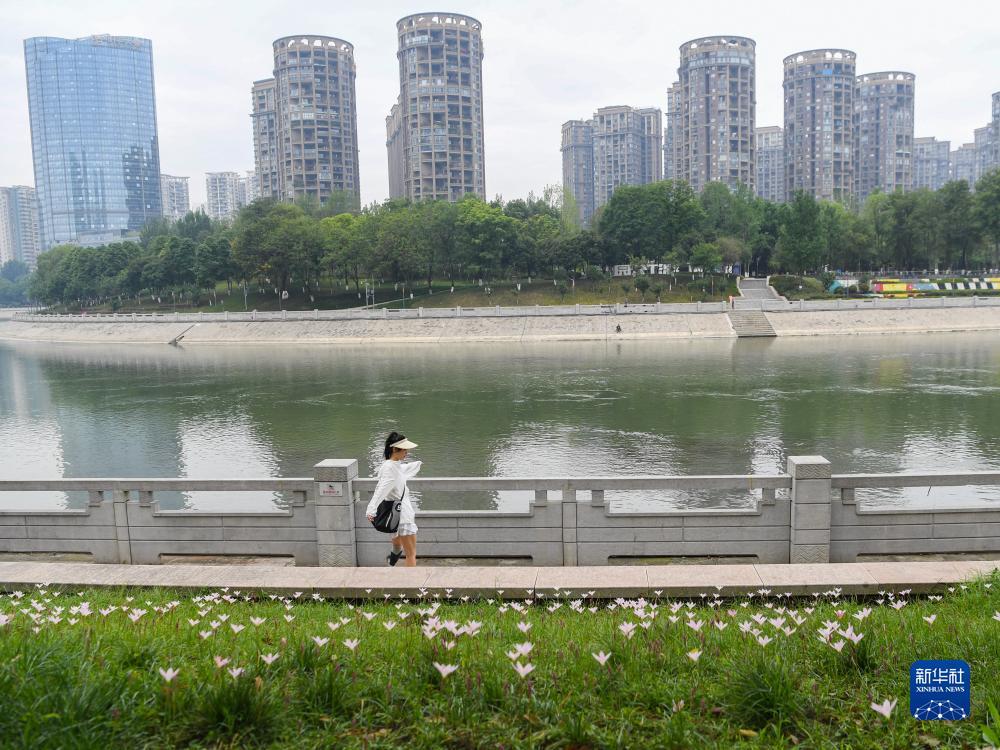 网上现金盘